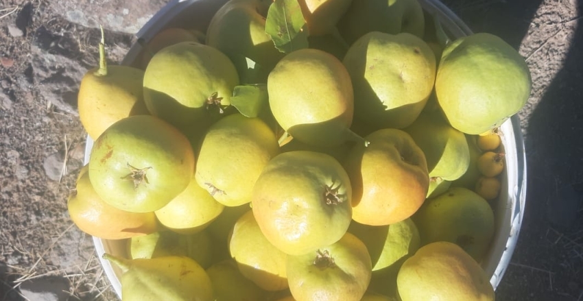 KİSTİK GÜNALTI MAHALLESİ YARDIMLAŞMA VE DAYANIŞMA DERNEĞİ